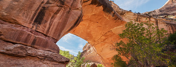 必应明日未来壁纸